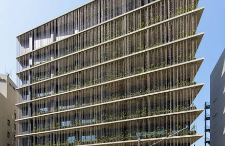 Vegetal Rain-Chains Facade Building in Japan