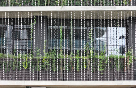 Vegetal Rain-Chains Facade Building in Japan