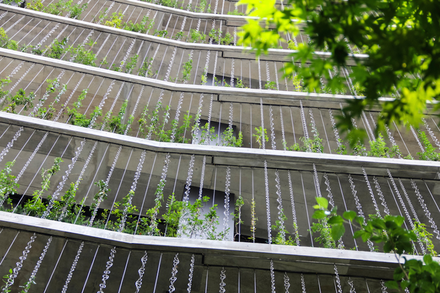 Vegetal Rain-Chains Facade Building in Japan4