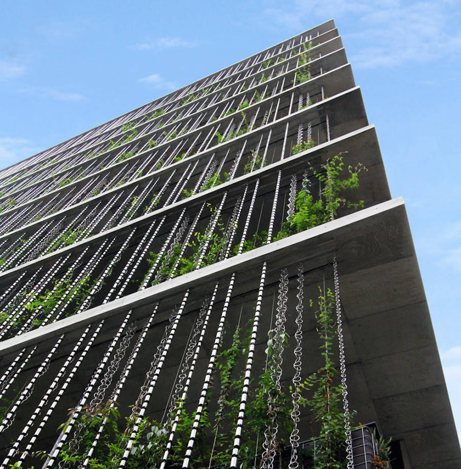 Vegetal Rain-Chains Facade Building in Japan8
