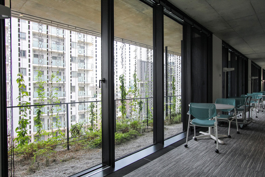 Vegetal Rain-Chains Facade Building in Japan9