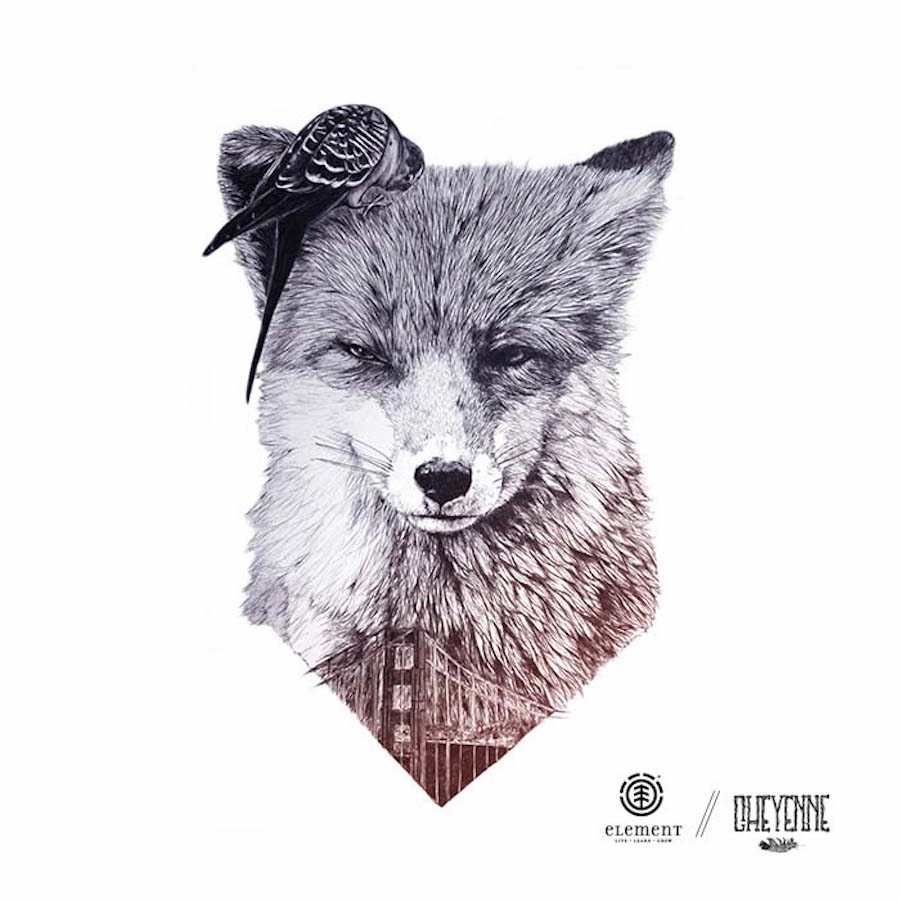 cheyenne-7