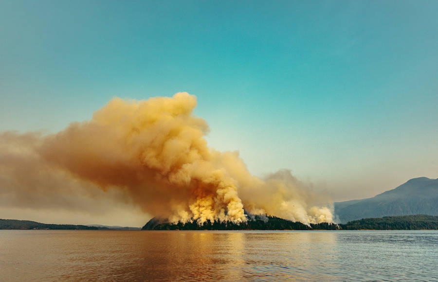 Dog Mountain Forest Fire