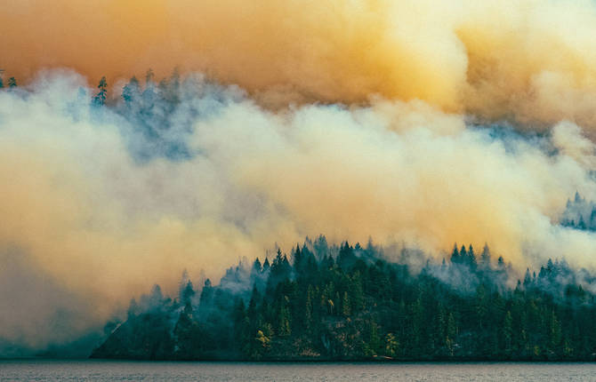 Dog Mountain Forest Fire