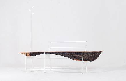 Minimal Trunk Bench Made From Tree