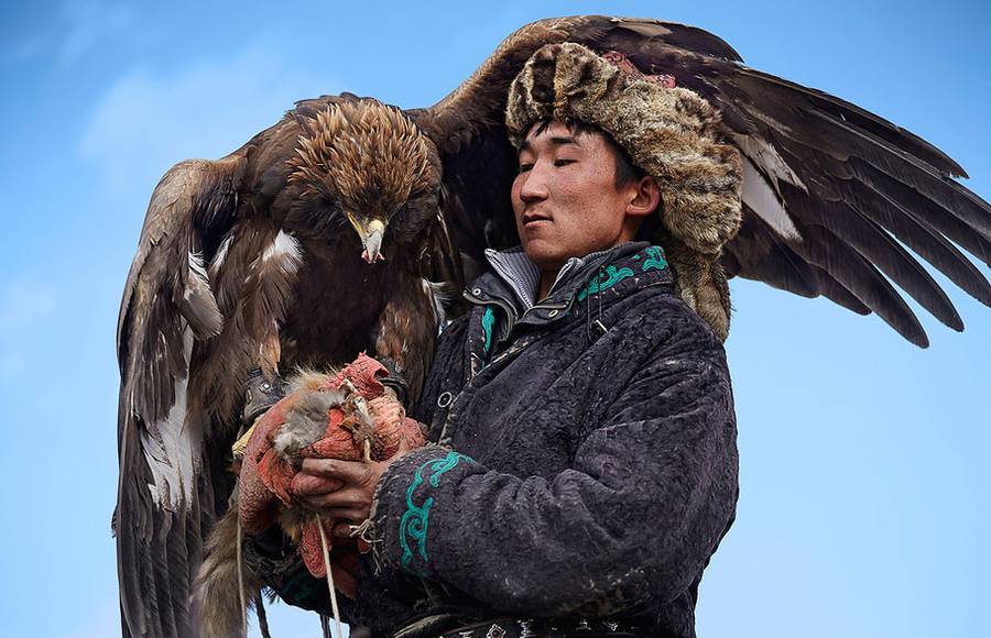 Traditional Eagle Hunting in Mongolia