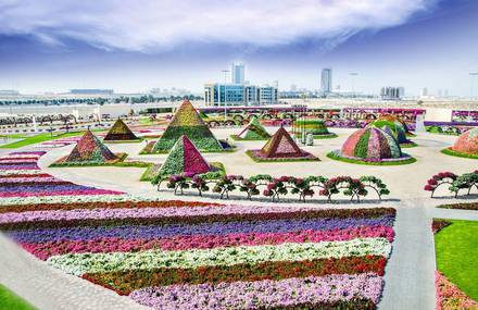 The Dubai Miracle Garden