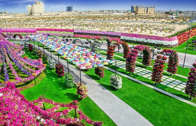 The Dubai Miracle Garden