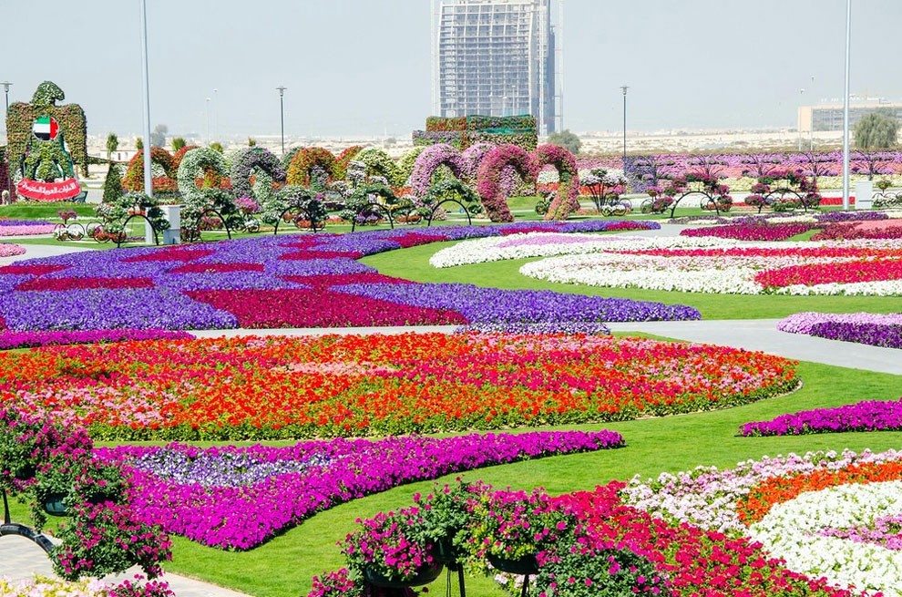 gardendubai-13