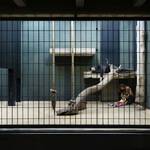 выставка инопланетный зоопарк. гипотеза зоопарка джона болла. зоопарк инопланетных животных. существа с других планет. выставка инопланетный зоопарк.