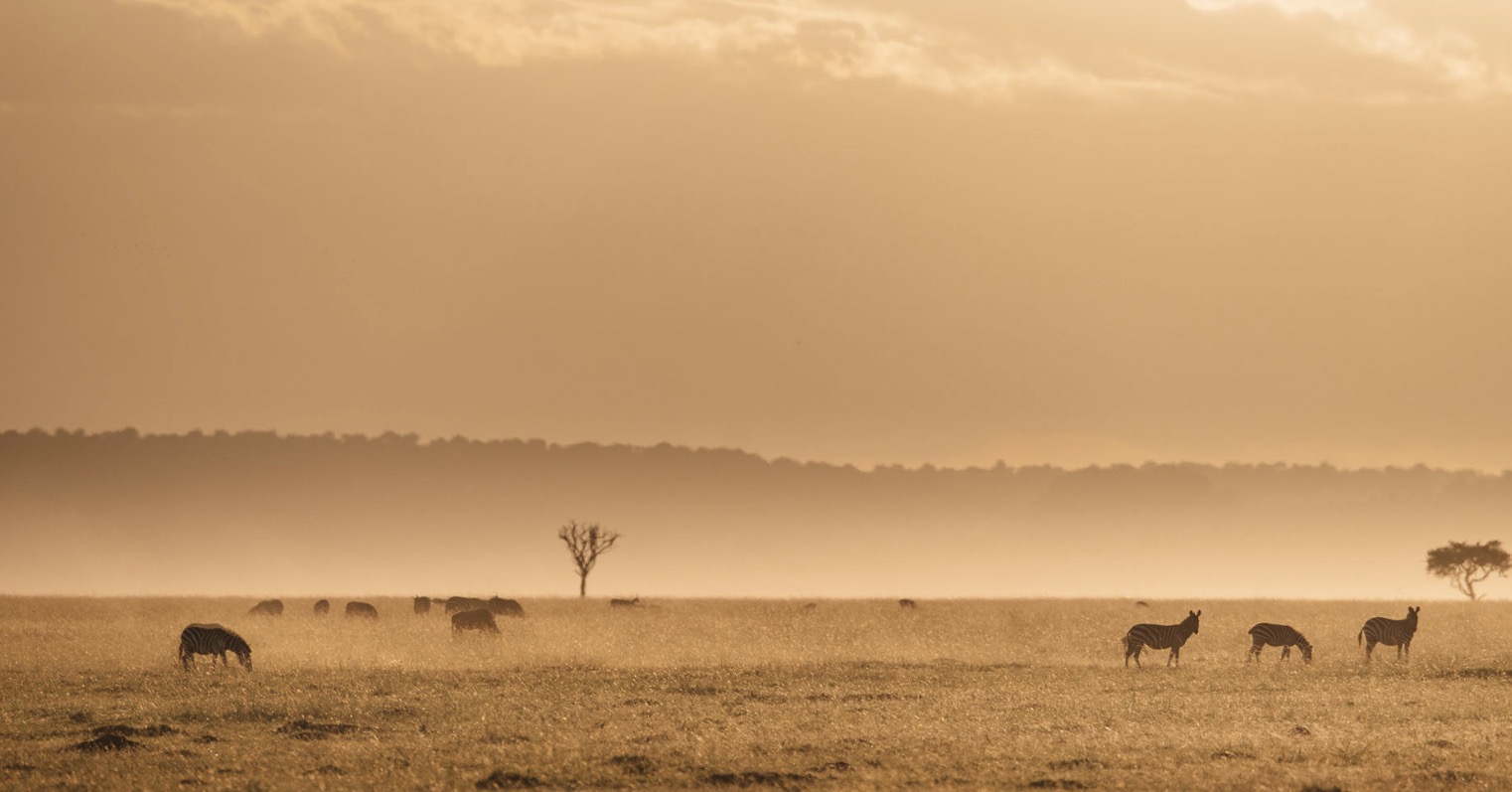 kenyannaturereserve13