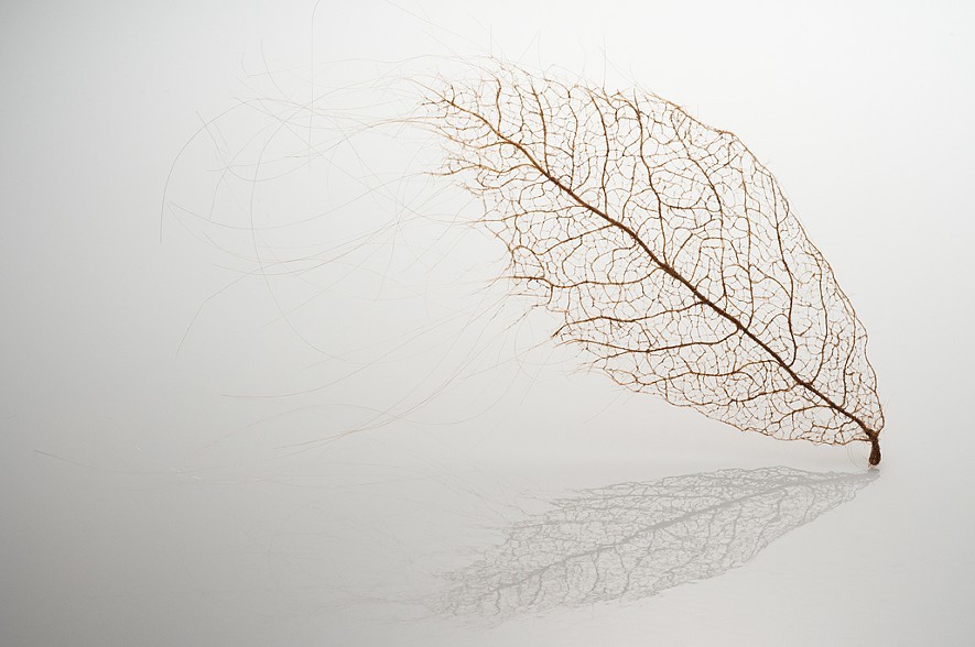 leafhairsculptures4