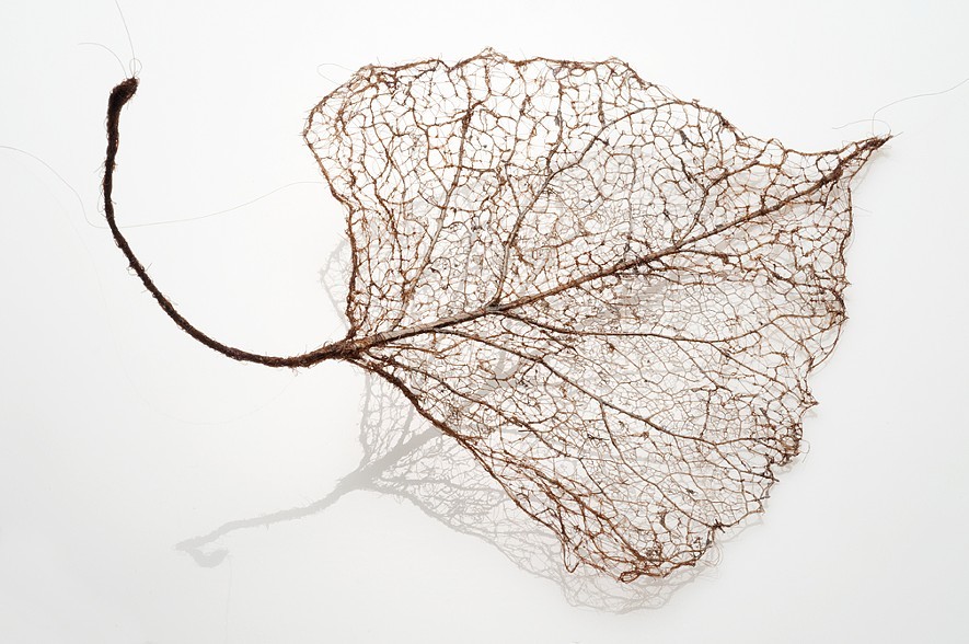 leafhairsculptures9