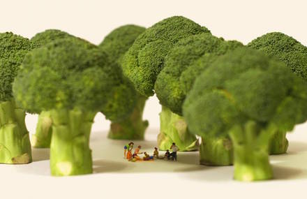 Funny Miniature Scenes