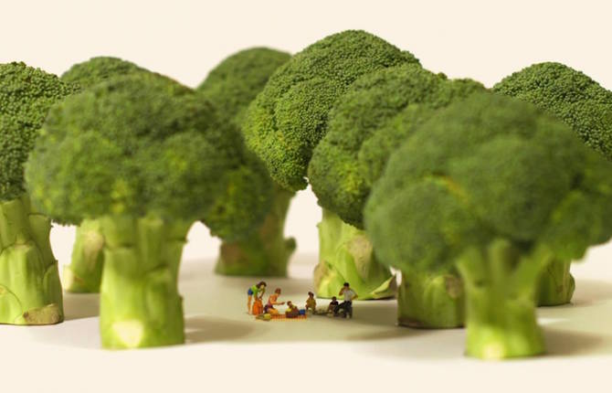 Funny Miniature Scenes