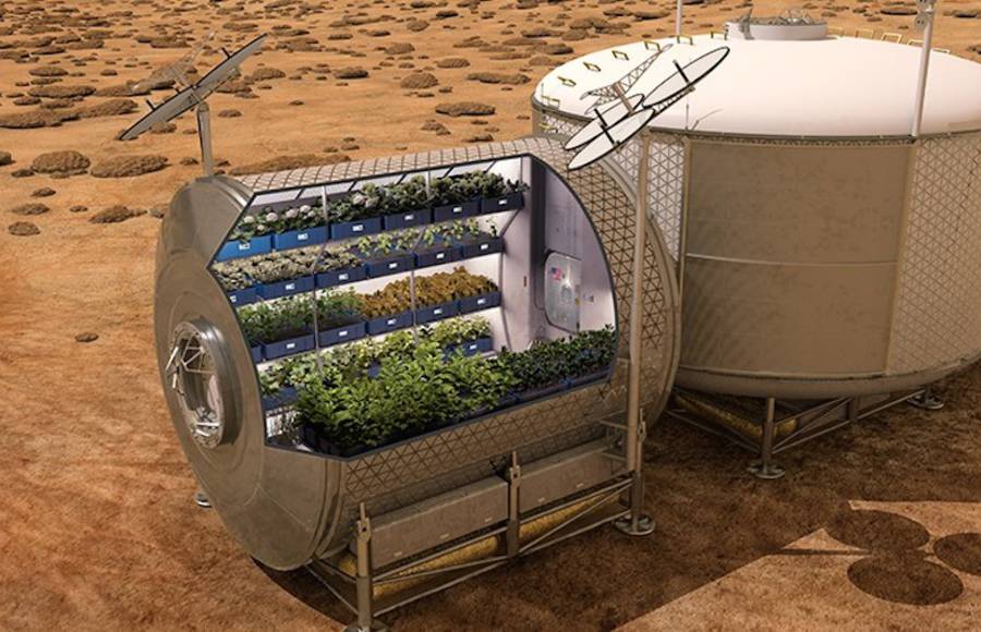 NASA Grows Edible Vegetables in Space