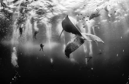 2015 National Geographic Traveler Photo Contest Winners