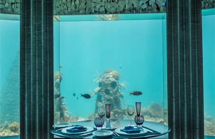 Glamorous Underwater Restaurant in the Maldives
