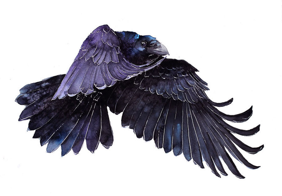 watercolorbirds-0