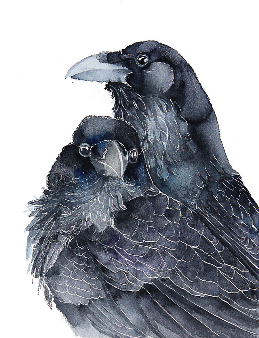 watercolorbirds-1