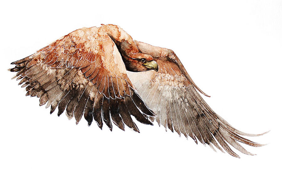 watercolorbirds-10