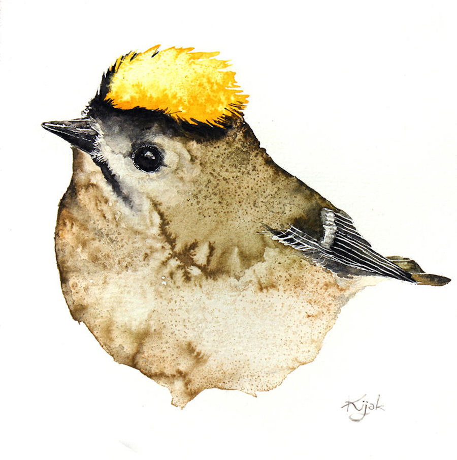 watercolorbirds-11