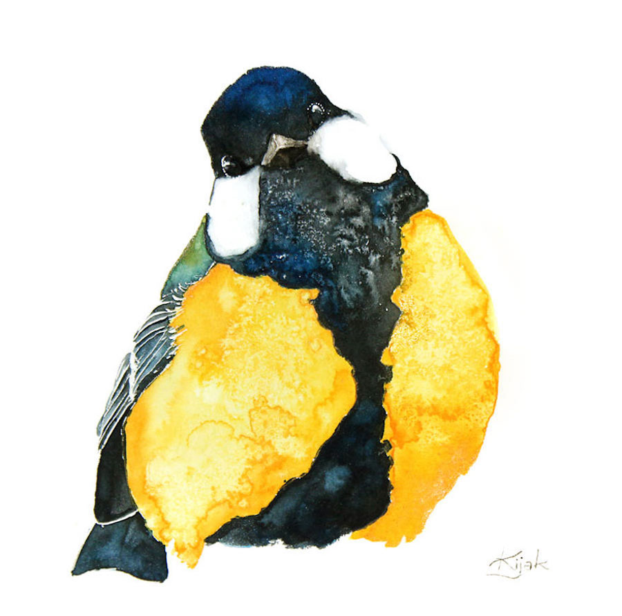 watercolorbirds-13