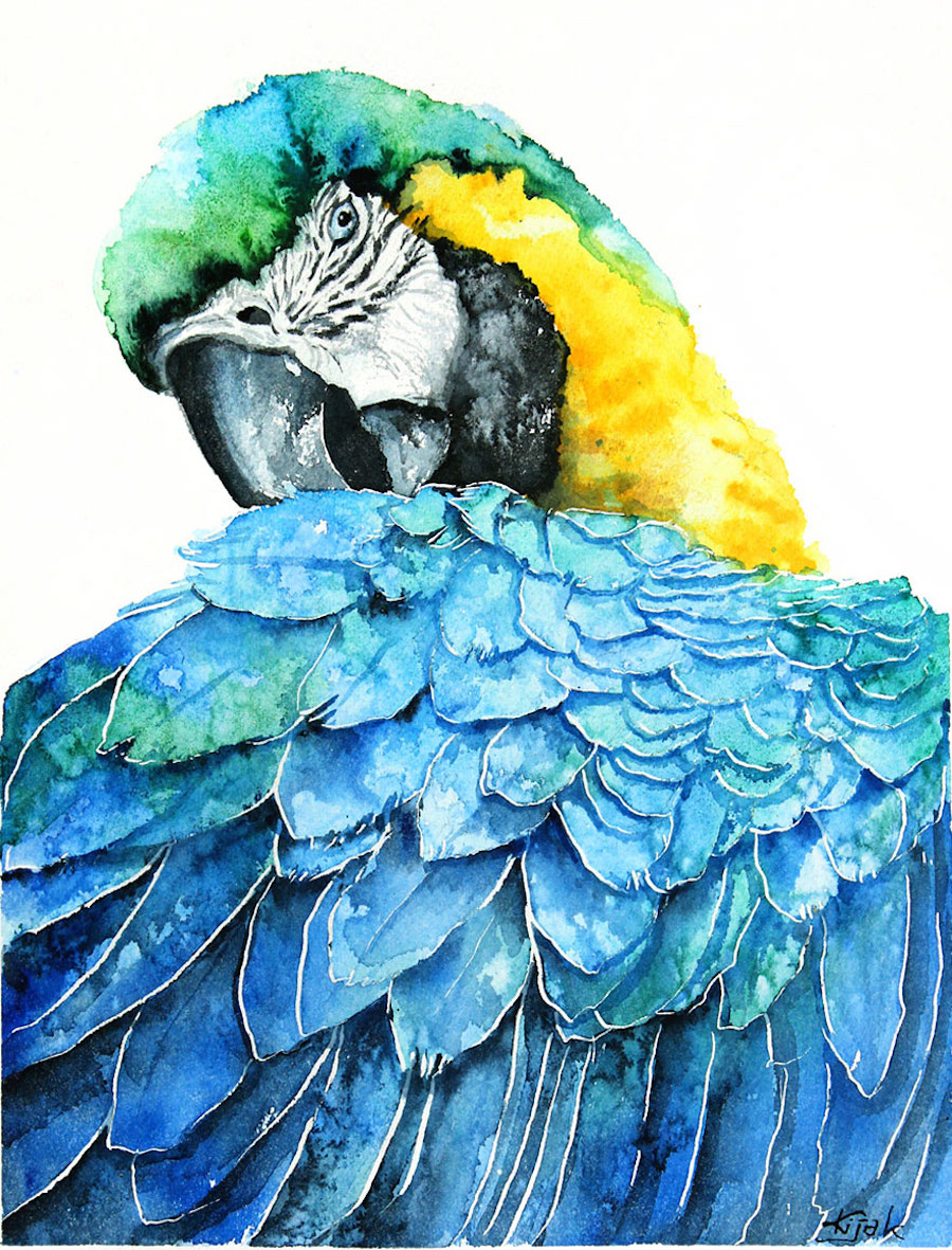 watercolorbirds-14