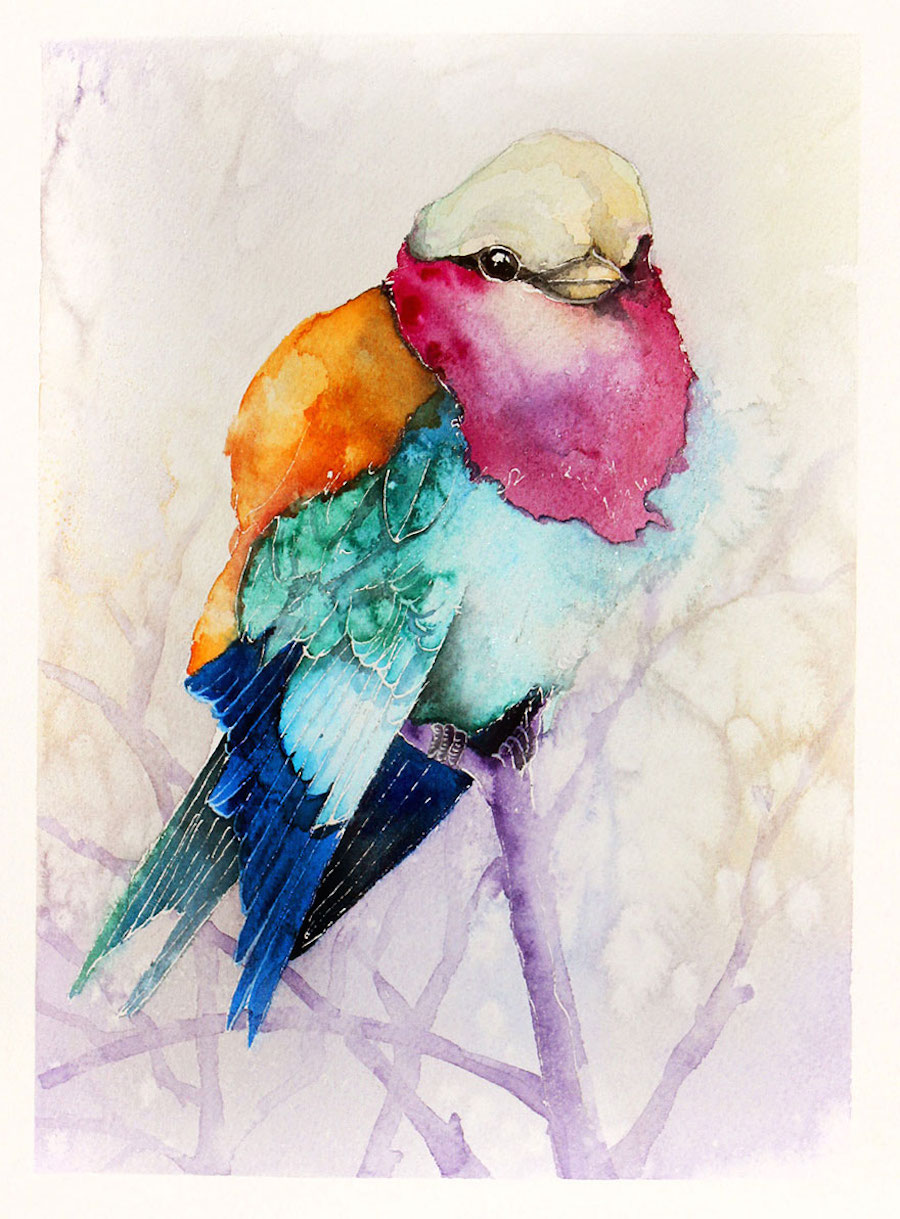 watercolorbirds-15
