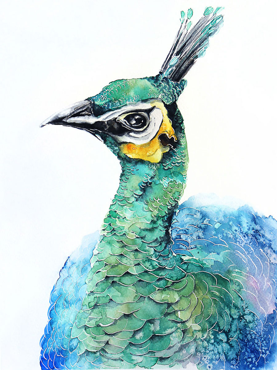 watercolorbirds-2