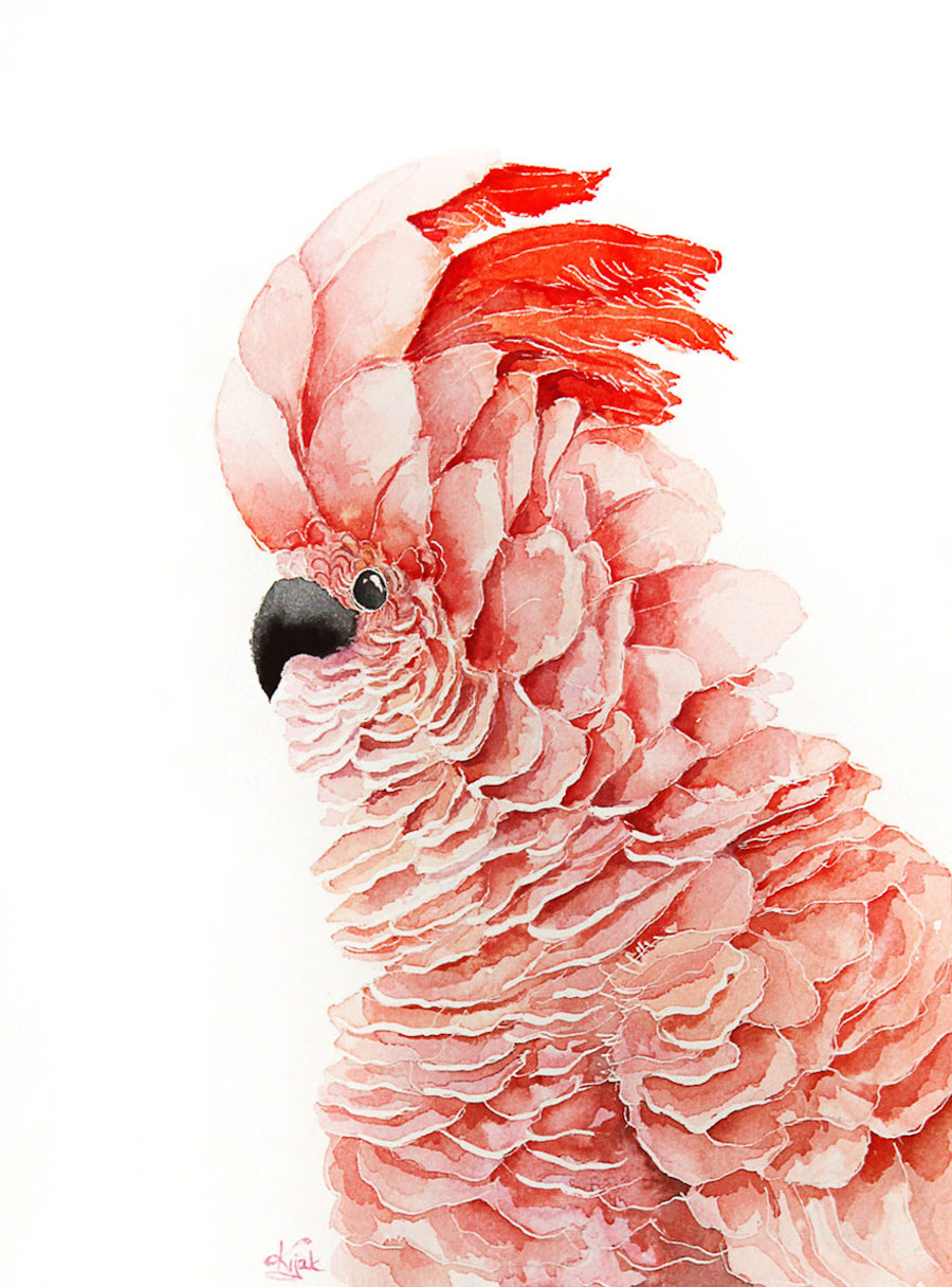 watercolorbirds-3