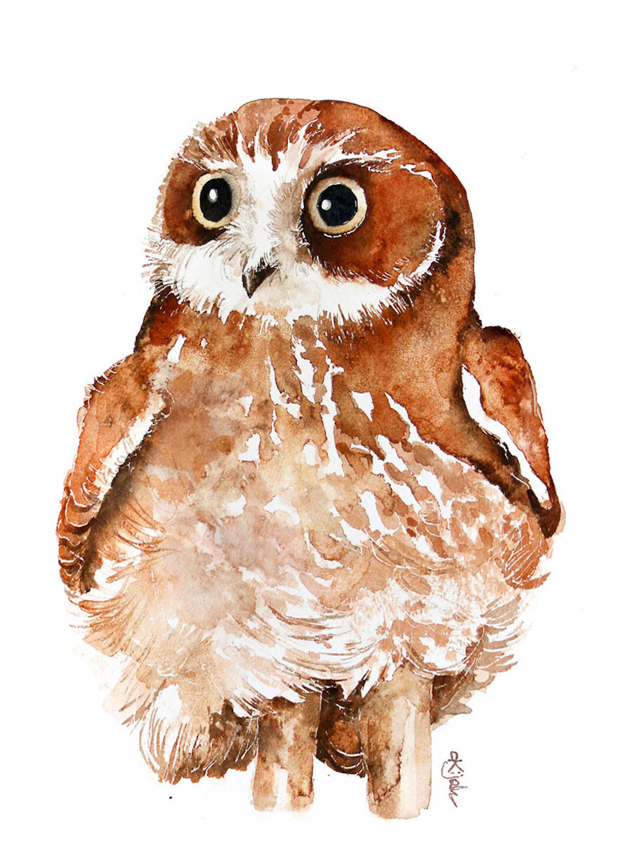 watercolorbirds-4
