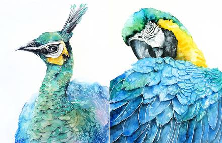 Watercolor Birds Portraits