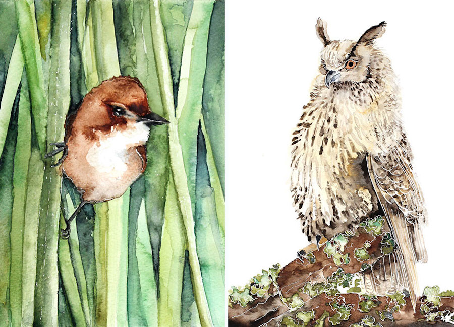 watercolorbirds-5