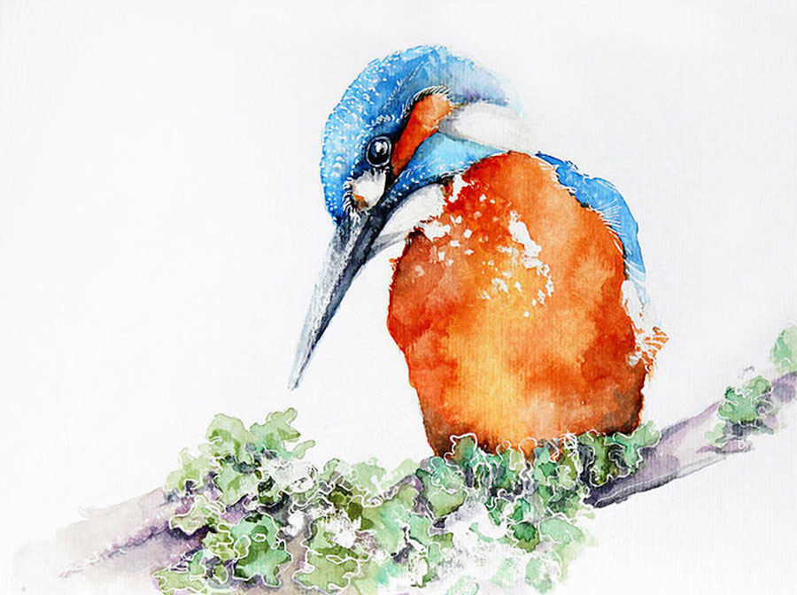 watercolorbirds-6