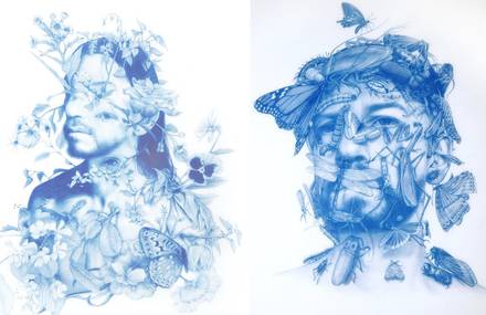 Wild Man Blue Drawings