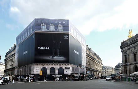 adidas Originals Tubular Gallery in Paris