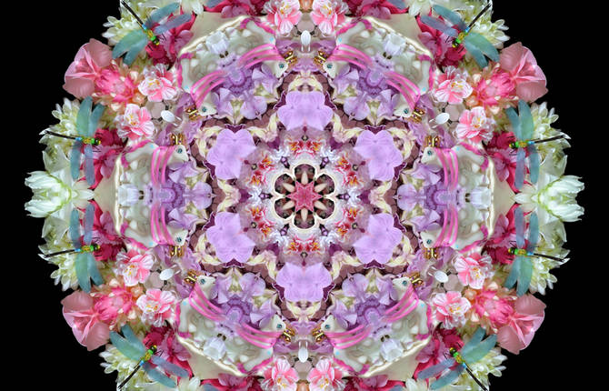 Striking Flowers and Candies Mandalas