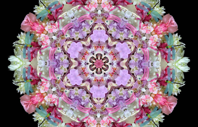 Striking Flowers and Candies Mandalas