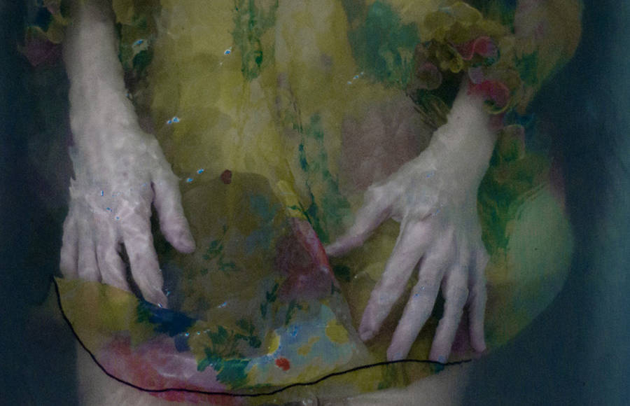 Painting-Like Photographs of Delicate Women Hands