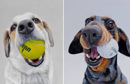 Realistic Funny Dog Portraits