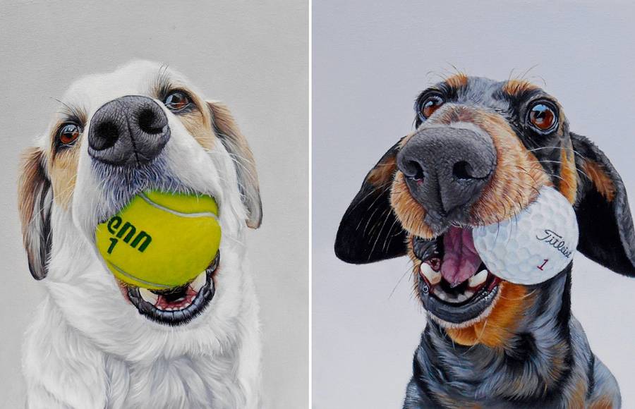 Realistic Funny Dog Portraits