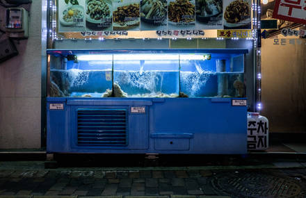 Fish Tanks Photography