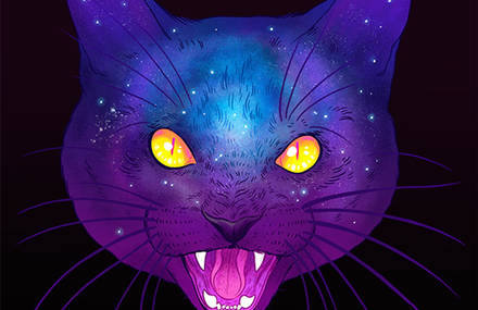 Galactic Cats Series