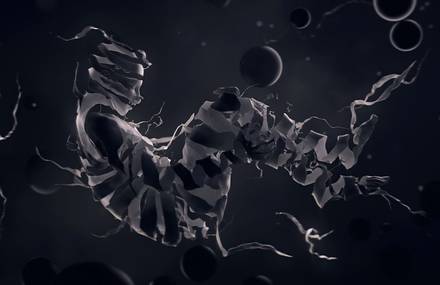 Genesis by Panoply