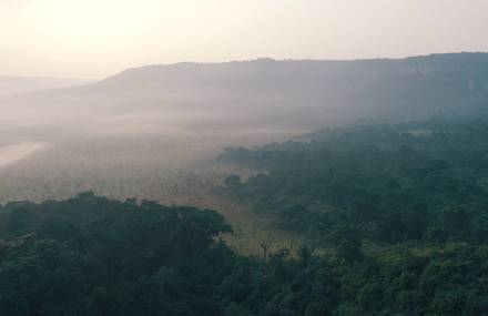 I Am Congo Teaser