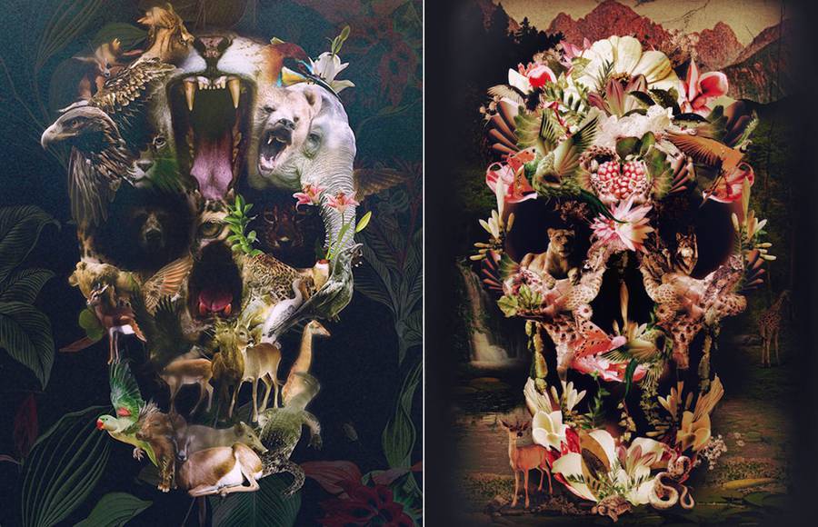 Visual Skull Compositions