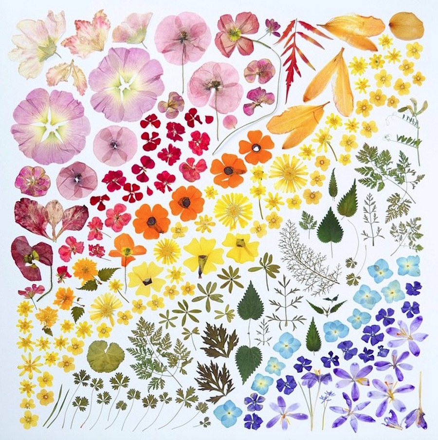 rainbow-4