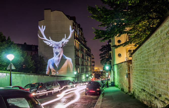 Urban Safari Projections