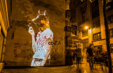 Urban Safari Projections